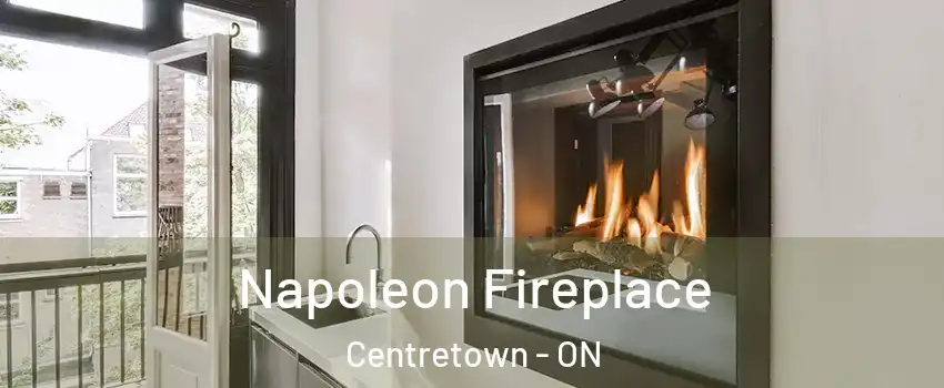  Napoleon Fireplace Centretown - ON