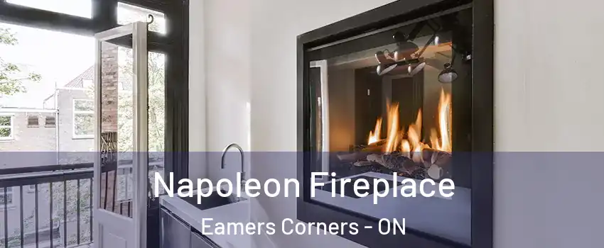  Napoleon Fireplace Eamers Corners - ON
