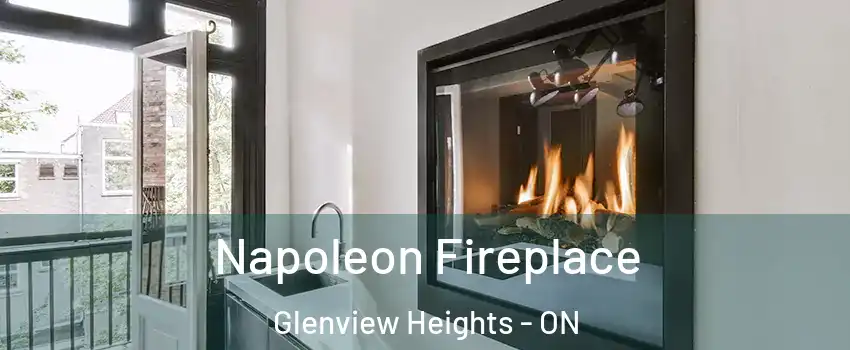 Napoleon Fireplace Glenview Heights - ON