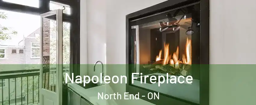  Napoleon Fireplace North End - ON