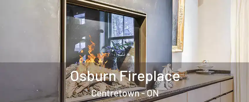  Osburn Fireplace Centretown - ON