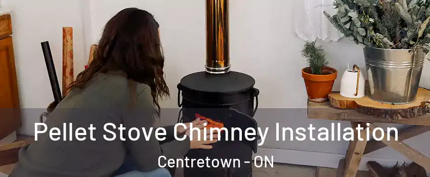  Pellet Stove Chimney Installation Centretown - ON