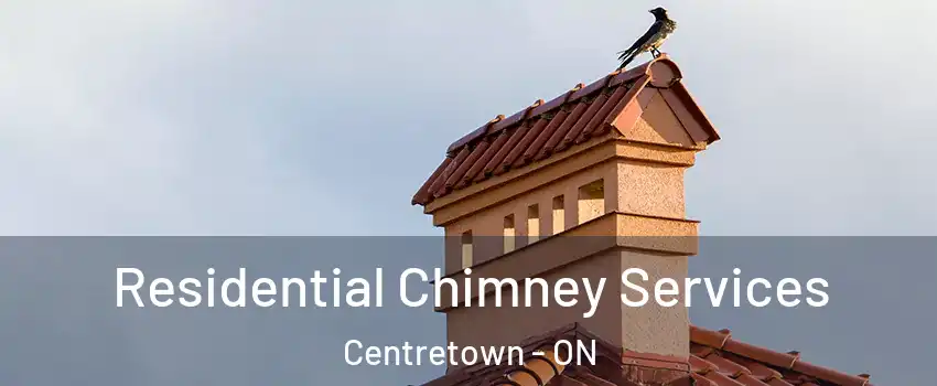  Residential Chimney Services Centretown - ON