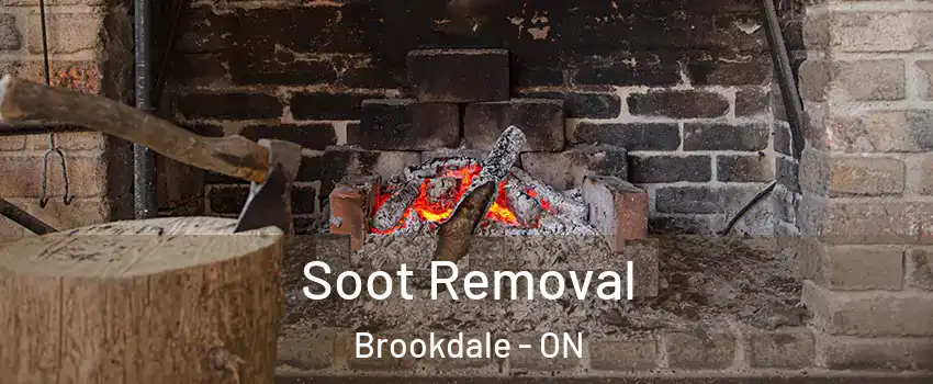  Soot Removal Brookdale - ON