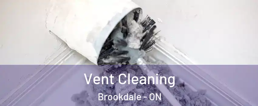  Vent Cleaning Brookdale - ON