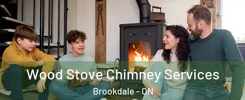  Wood Stove Chimney Services Brookdale - ON