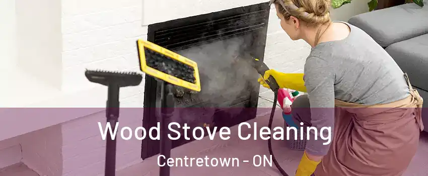  Wood Stove Cleaning Centretown - ON