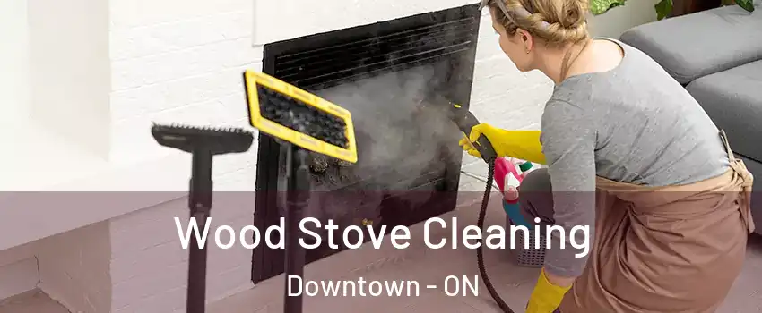  Wood Stove Cleaning Downtown - ON